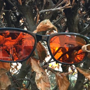 Anti Blue Light Glasses. Amun.