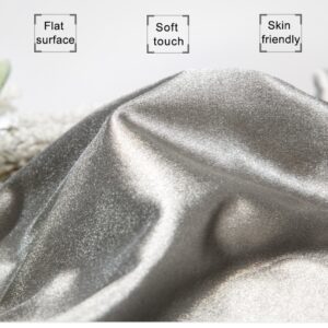 Silver Shiny Antioxidation