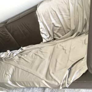 Silver Blanket and Scarf