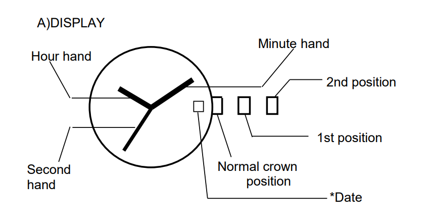 Movement Mechanical Watch