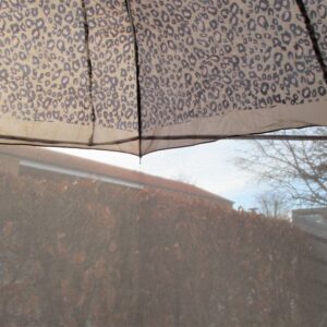 Baldakin til paraply